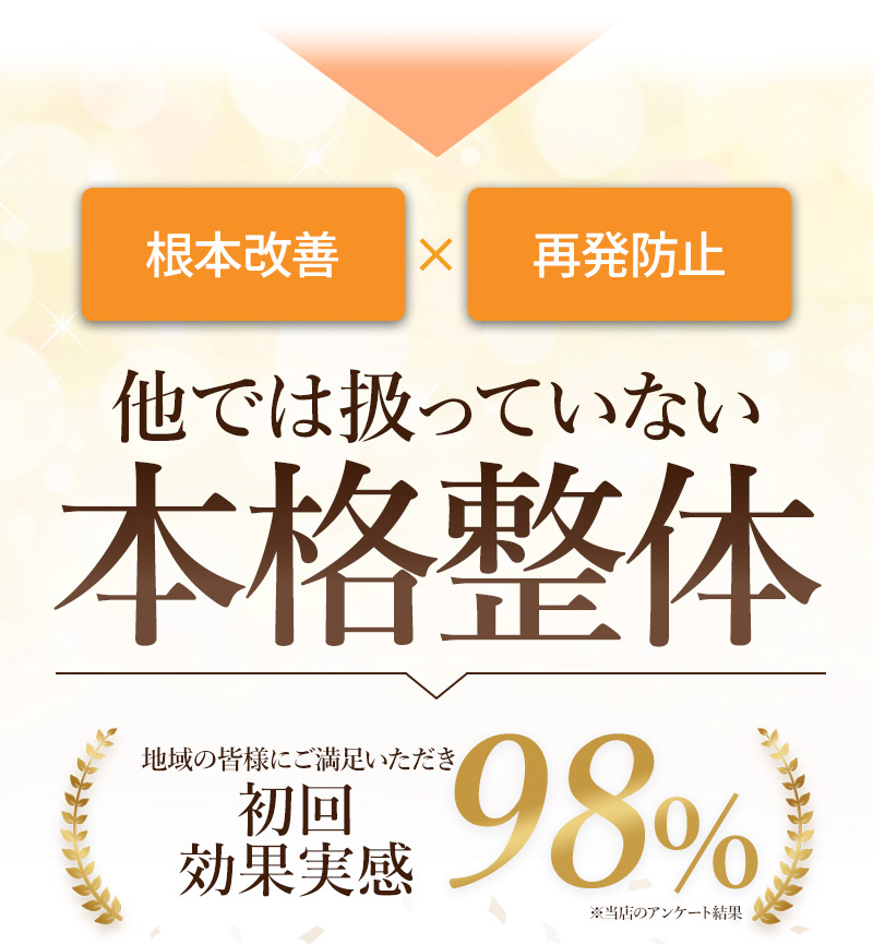 他では扱っていない本格整体
